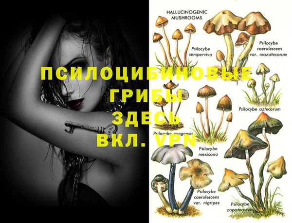 Альфа ПВП Алексеевка