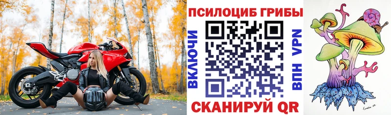 Галлюциногенные грибы GOLDEN TEACHER  hydra как зайти  Сураж 