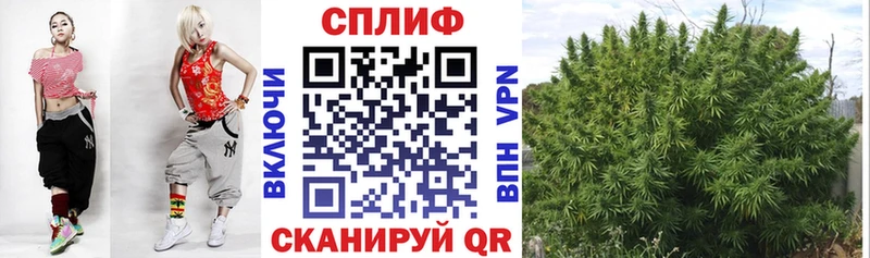 гидра онион  что такое наркотик  Сураж  Марихуана планчик 